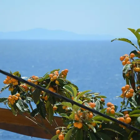 Fortudor Lejlighed Milna (Hvar)