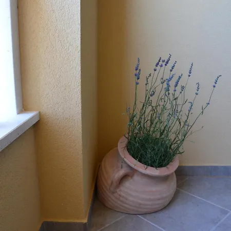Fortudor Apartment *