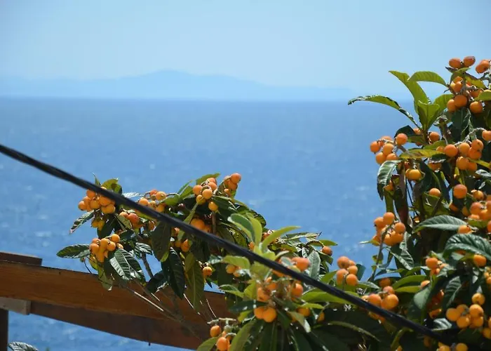Fortudor Daire Milna (Hvar)